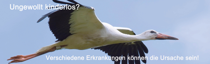 Fliegender Storch als Zeichen für Kinderwunsch