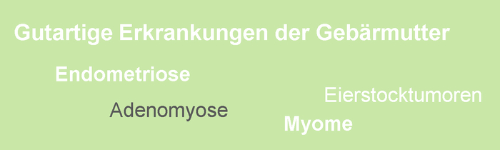 Adenomyose ist eine Endometriose der Gebärmutterwand