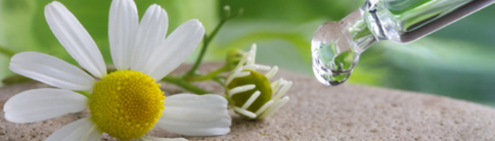 Bachblüten und Homöopathie bei Schwangerschaftsbeschwerden